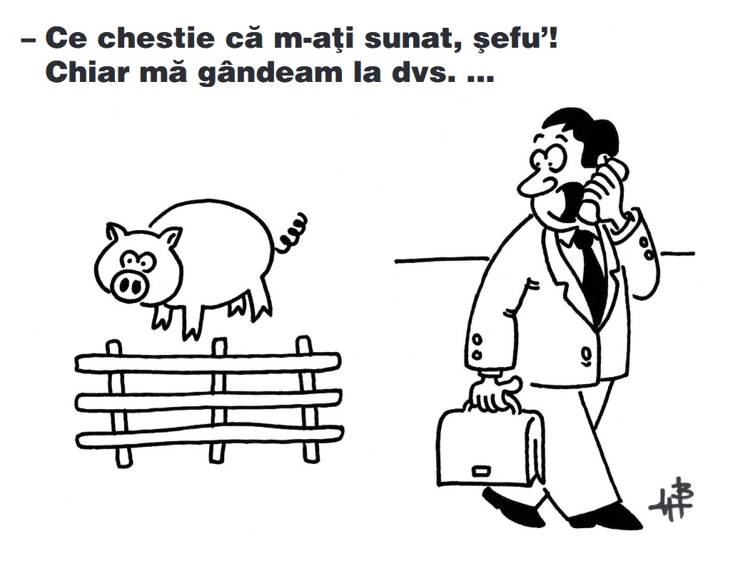 Specialistii au descoperit! Cand domeniul HR poate deveni o adevarata sursa de...umor si divertisment?
